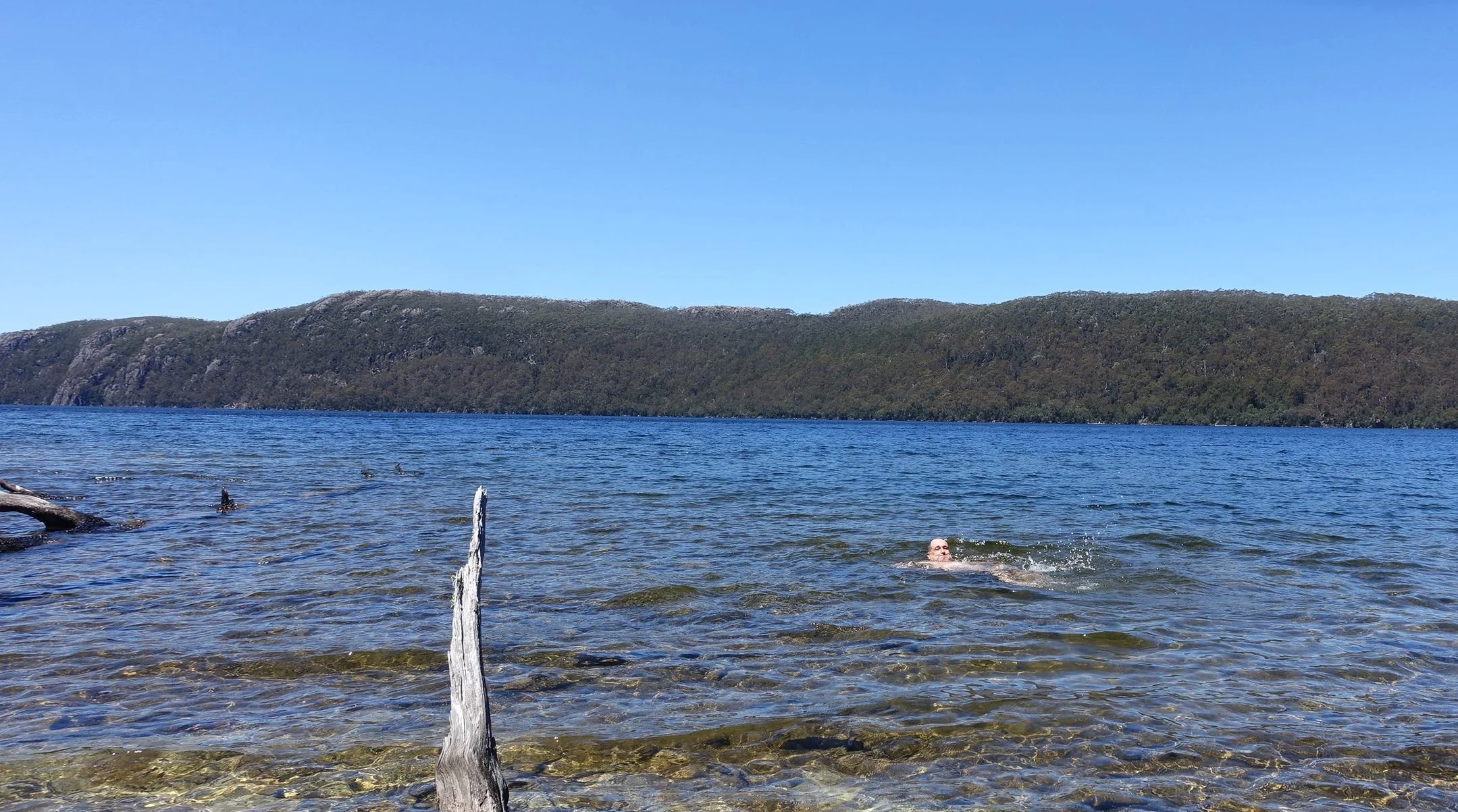 cooling off in lake meston