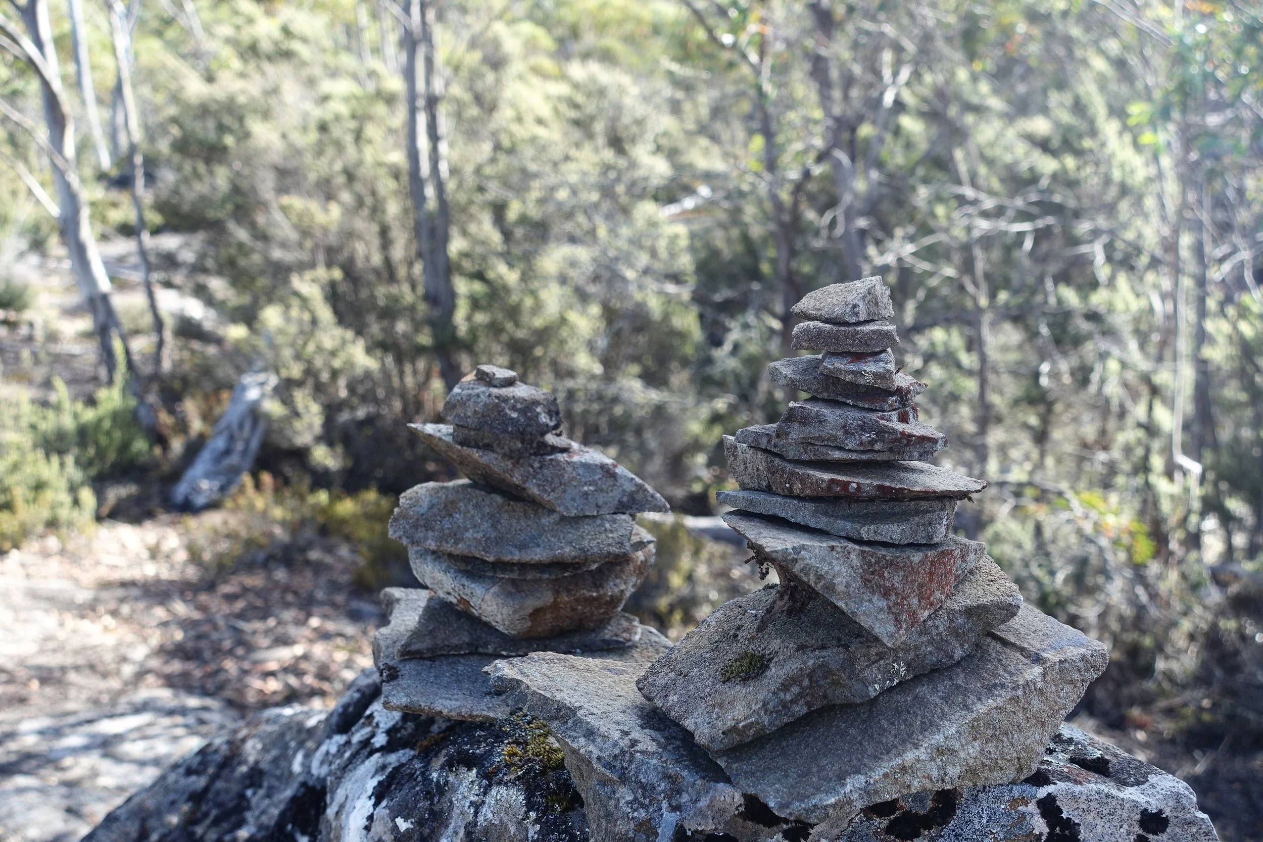 DSC07664_compressed.jpg