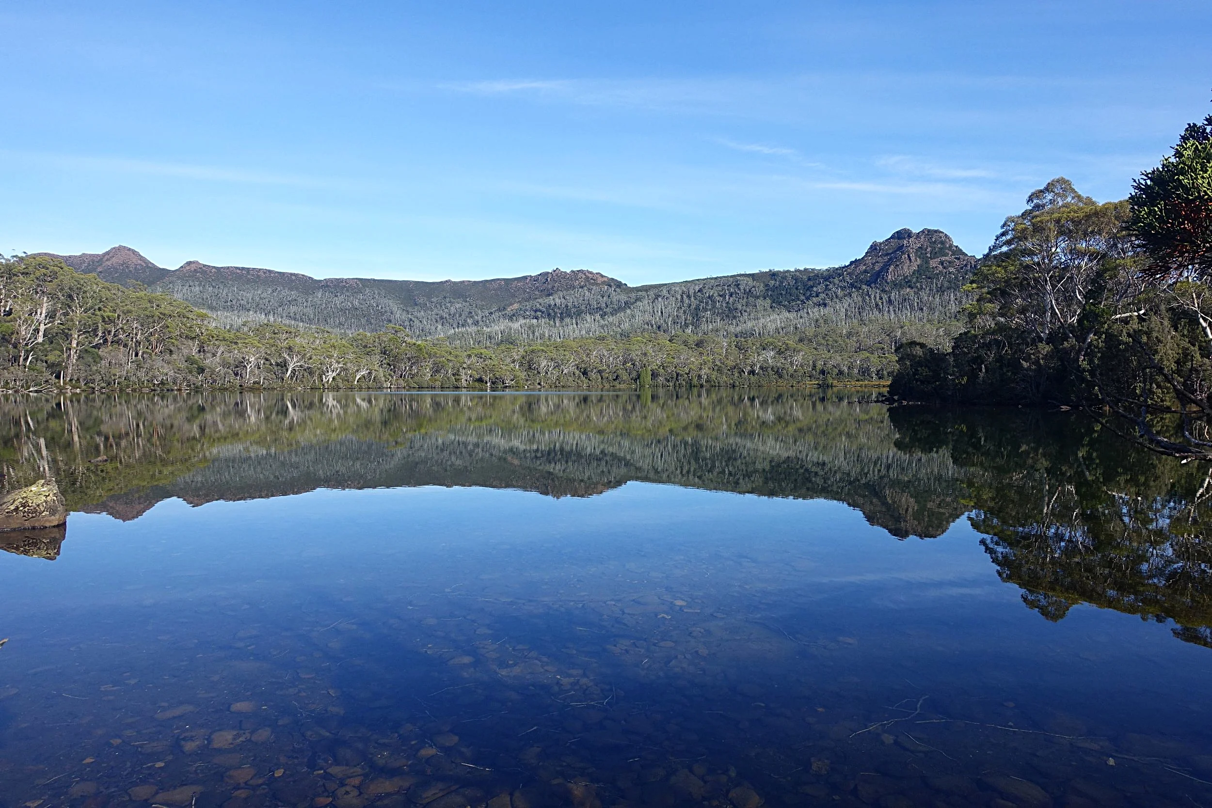 shadow lake