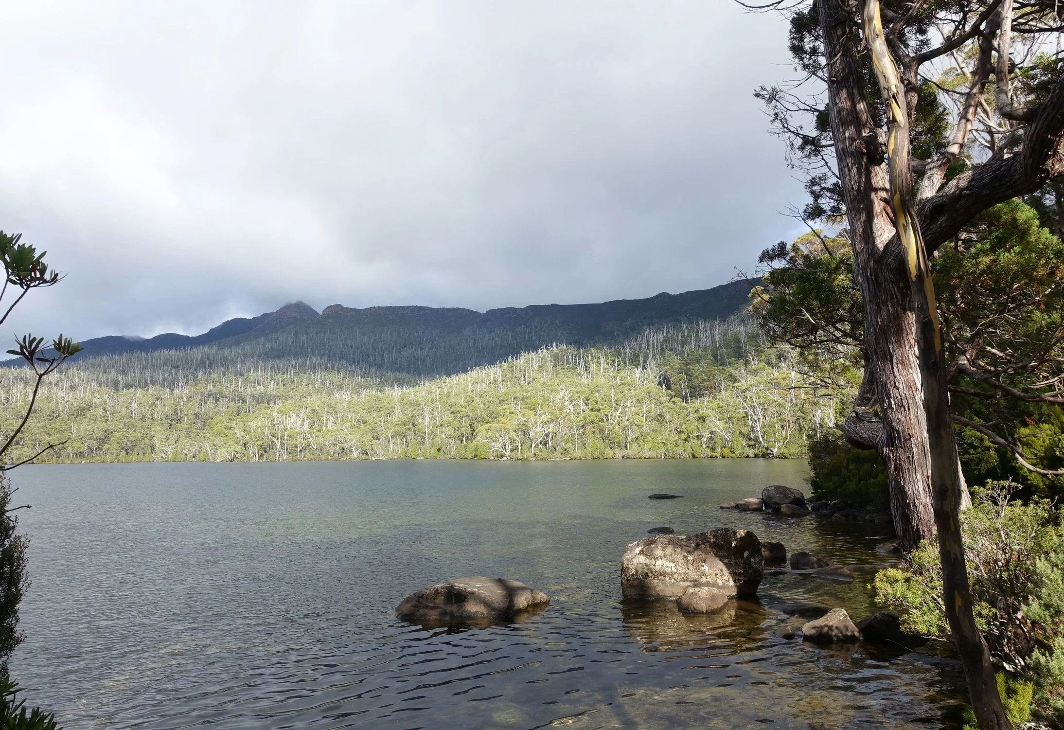 forgotten lake