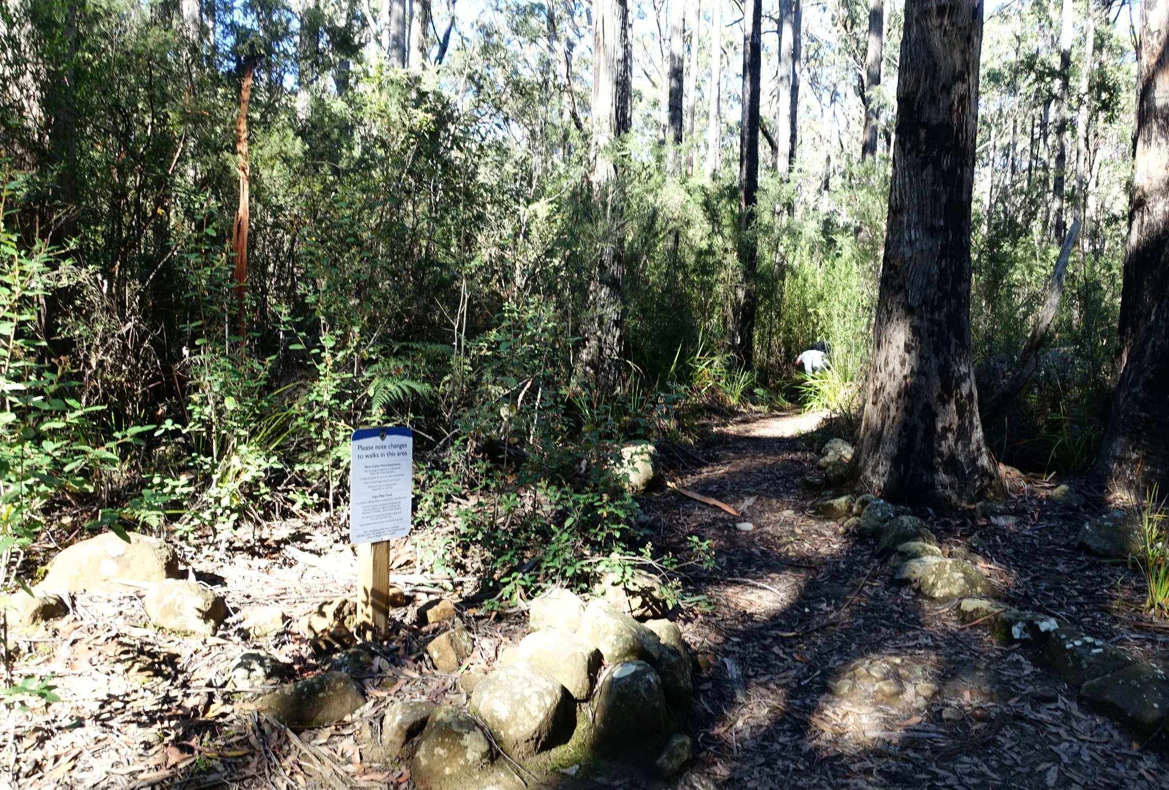 the beginning of the track