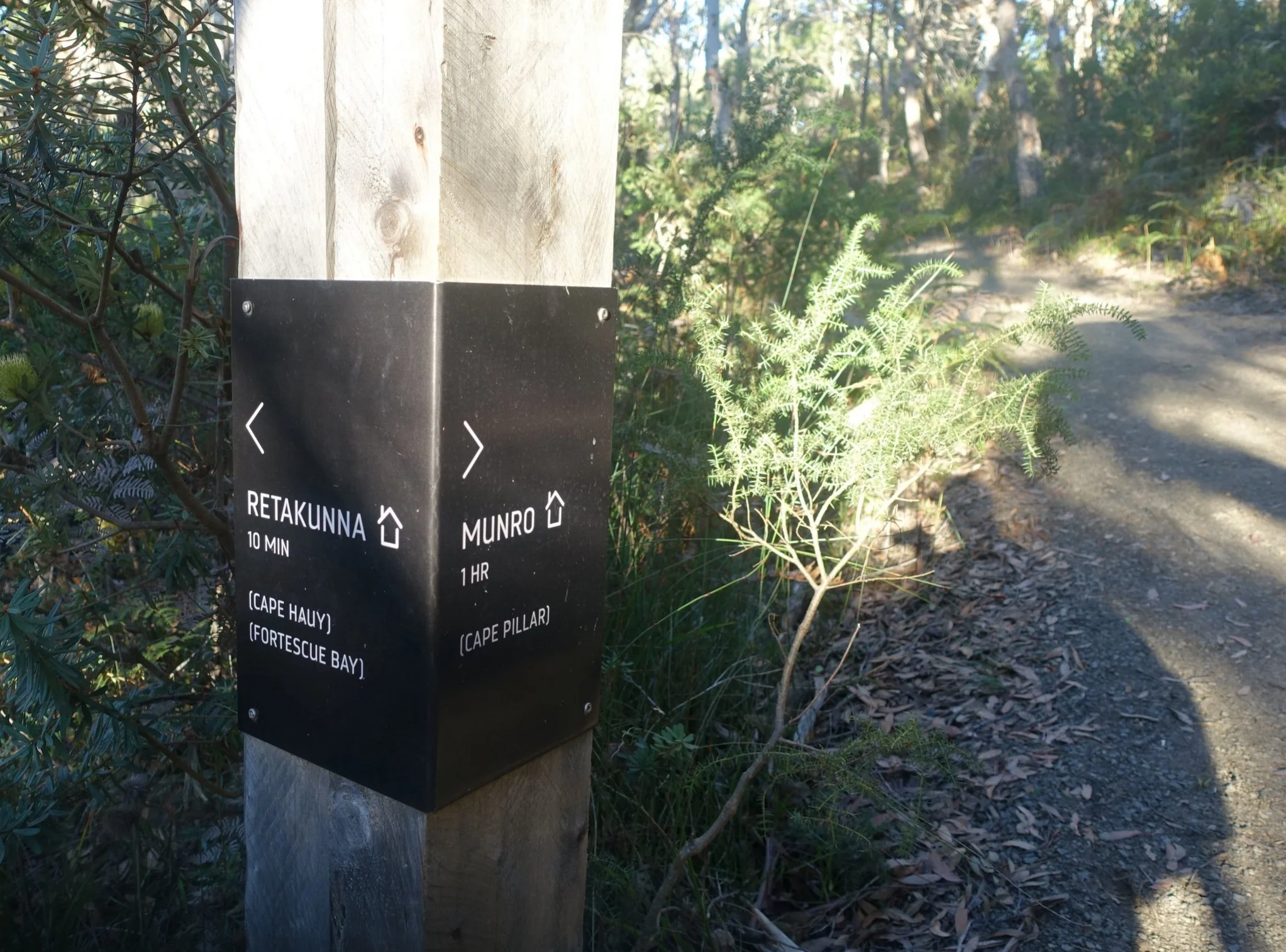 DSC08220_compressed.jpg