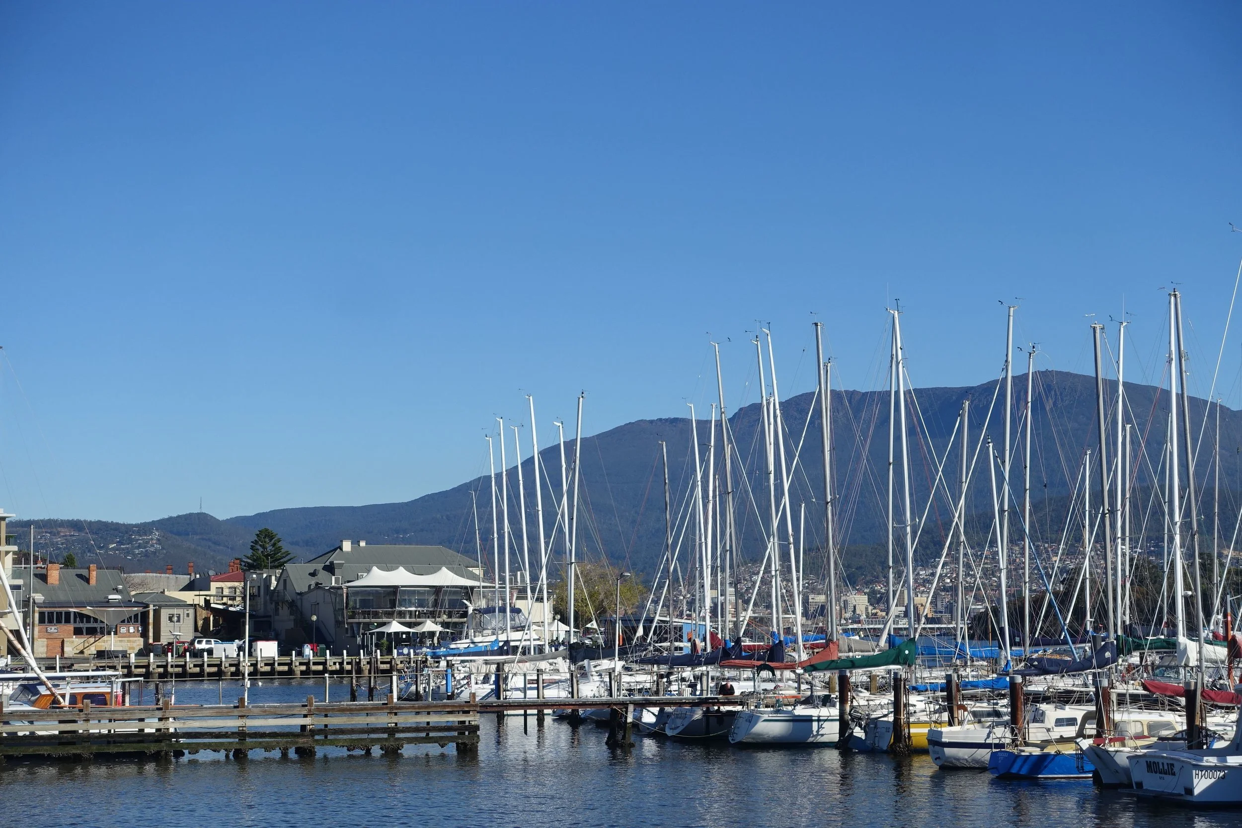 bellerive marina