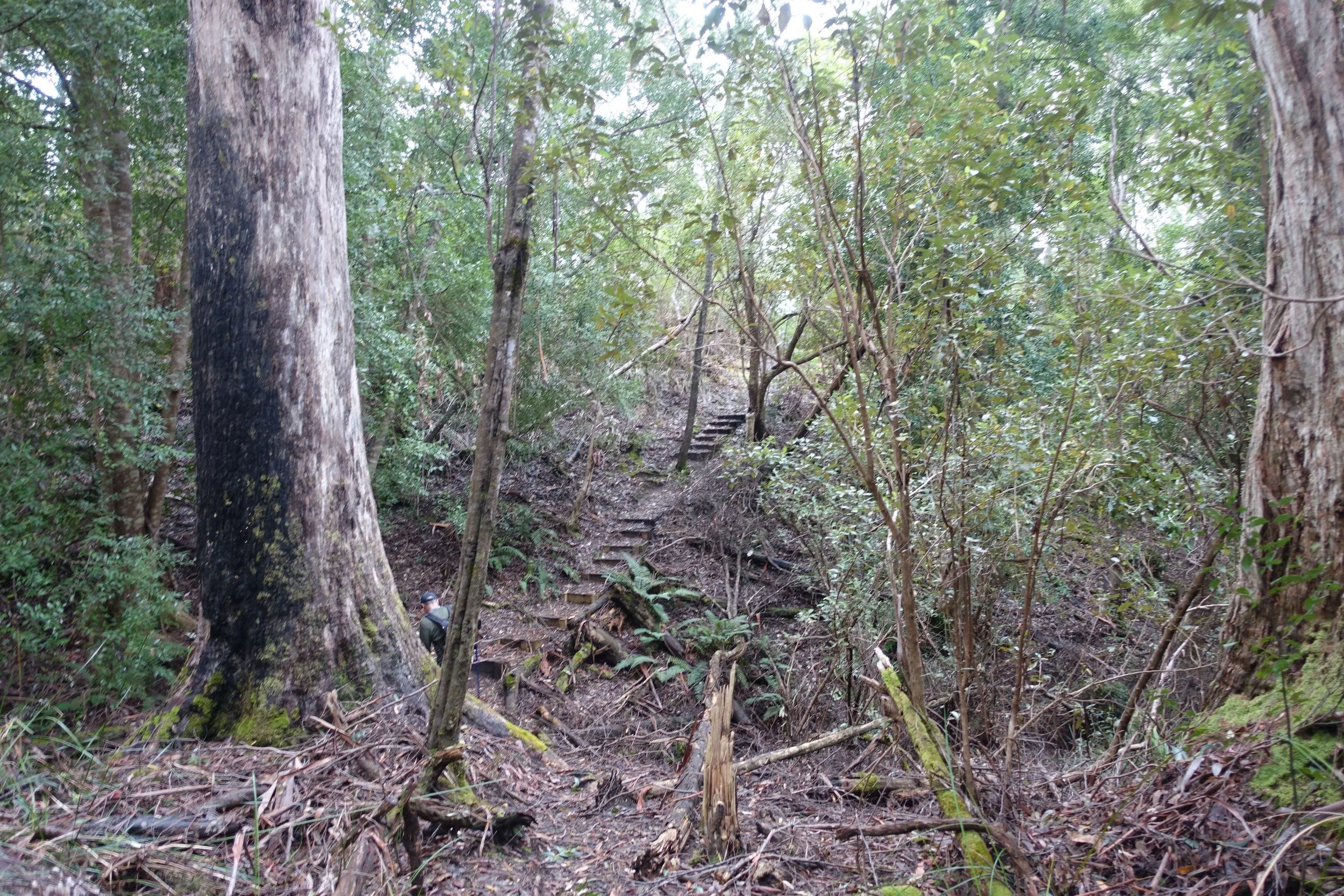 DSC08398_compressed.jpg