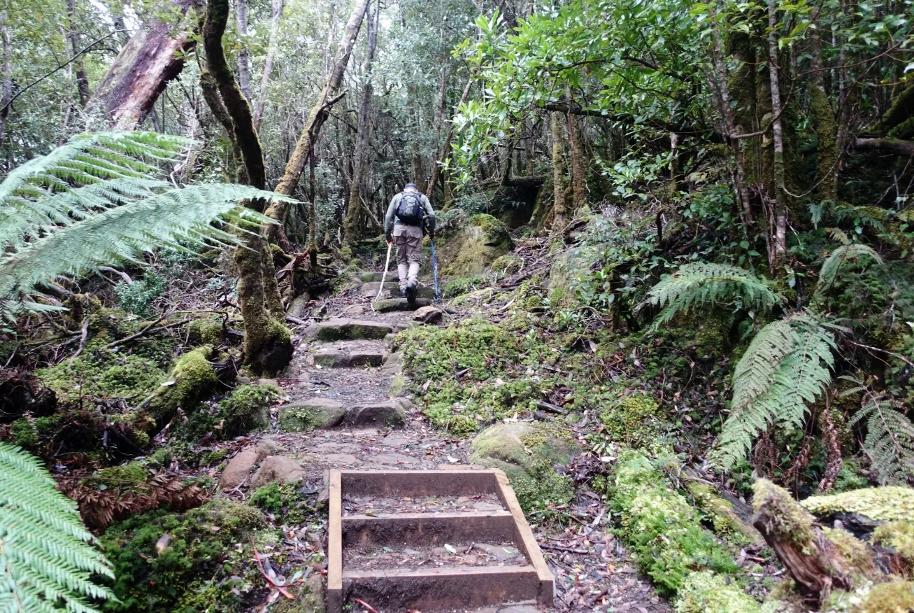 on the three capes track