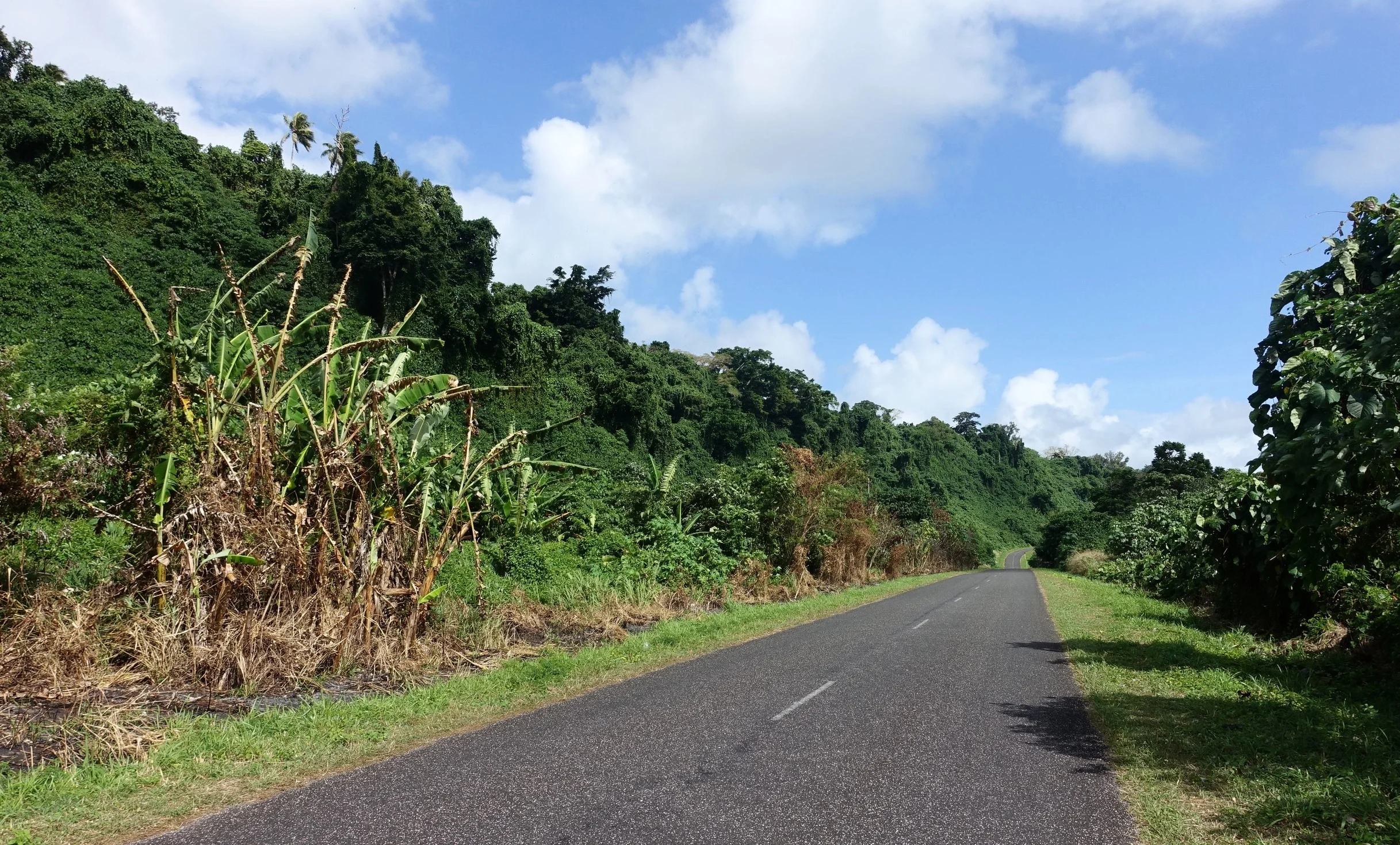 driving the ring road