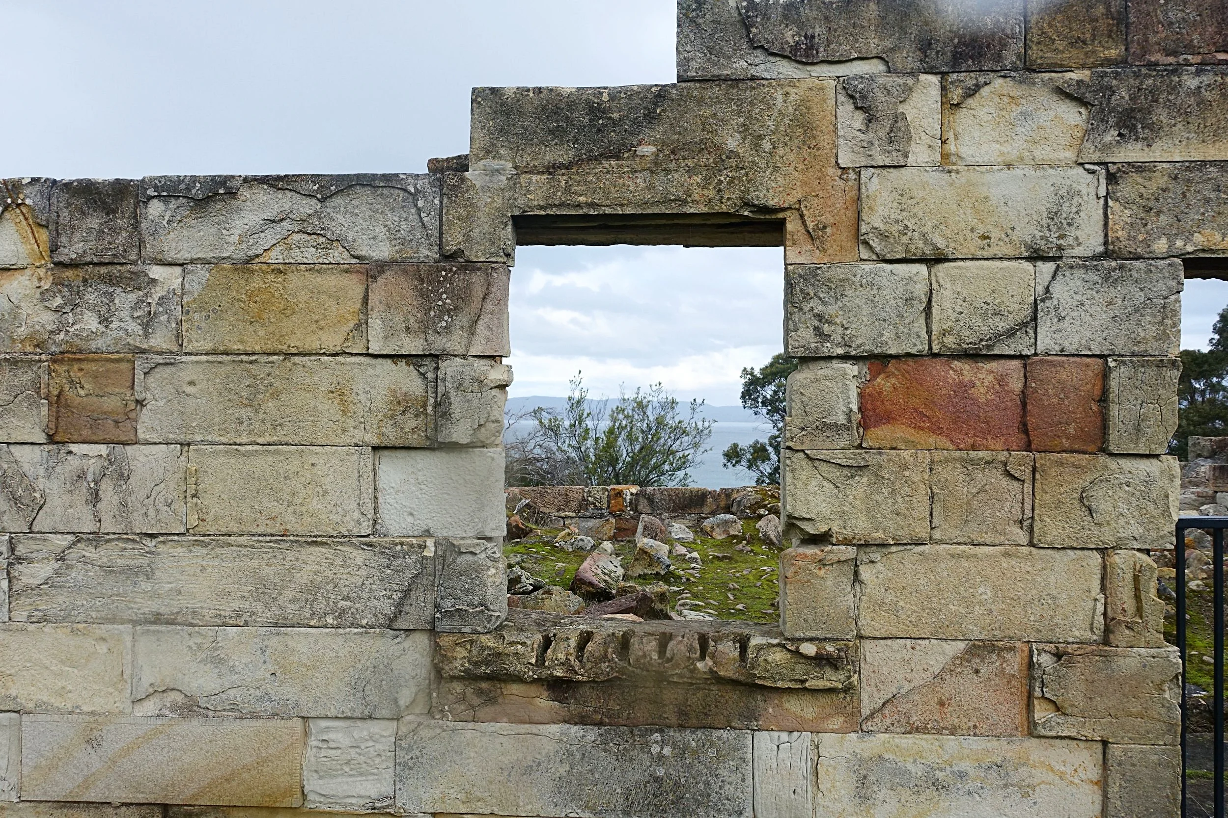 DSC08943_compressed.jpg