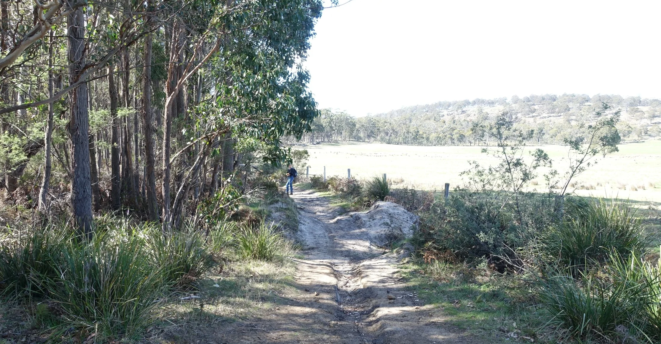 DSC09049_compressed.jpg