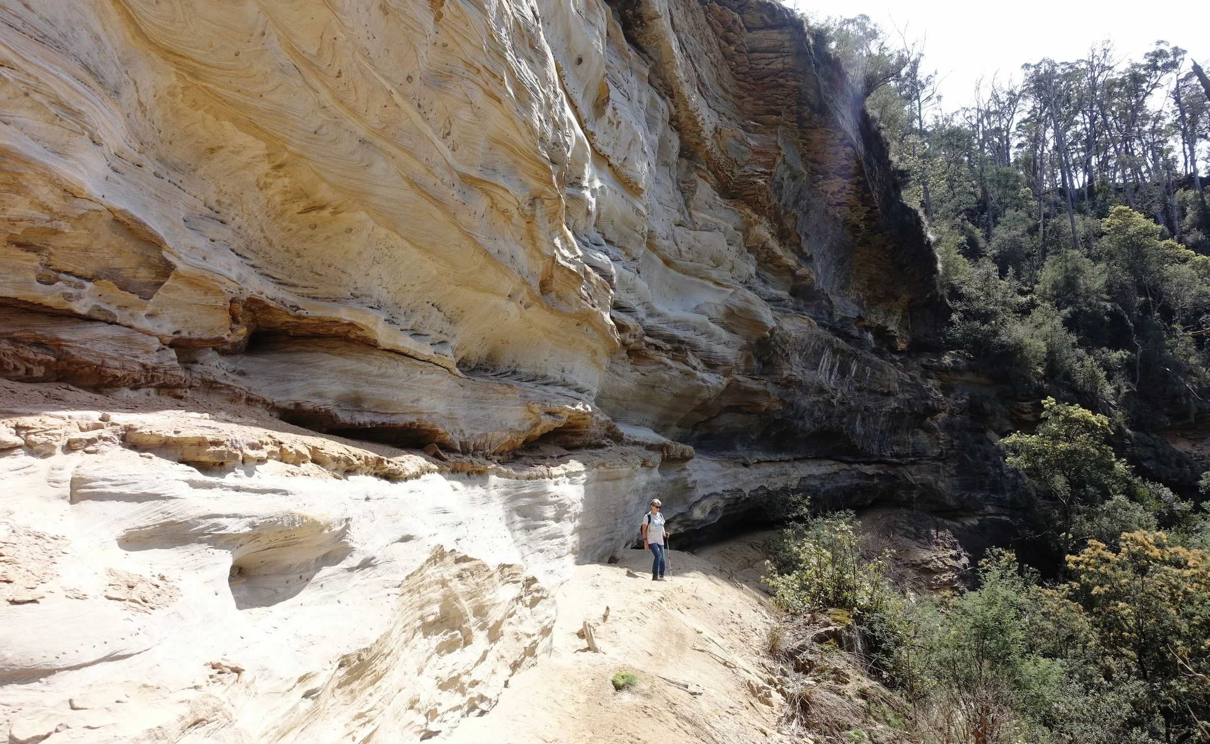 DSC09135_compressed.jpg