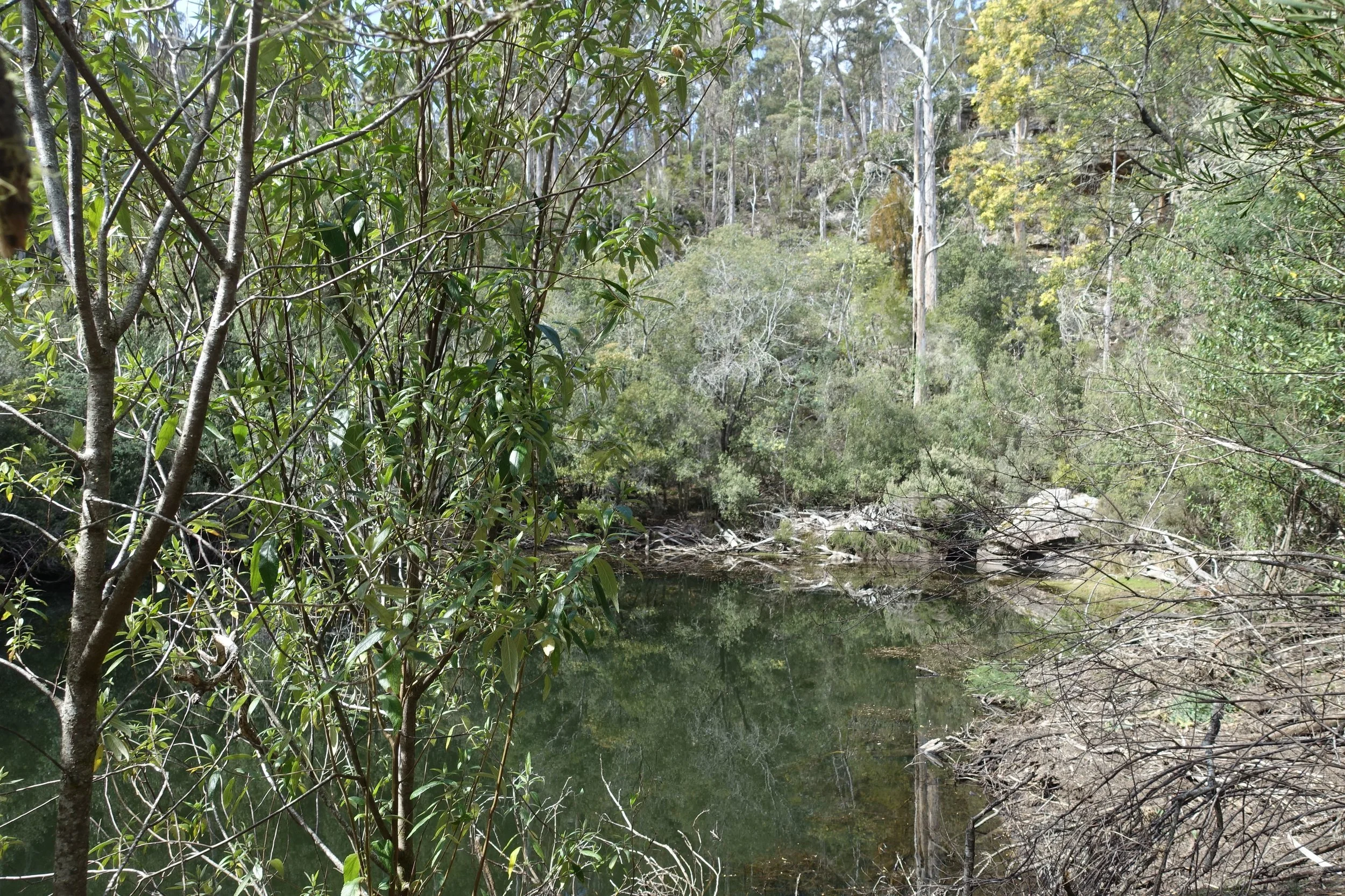 DSC09148_compressed.jpg