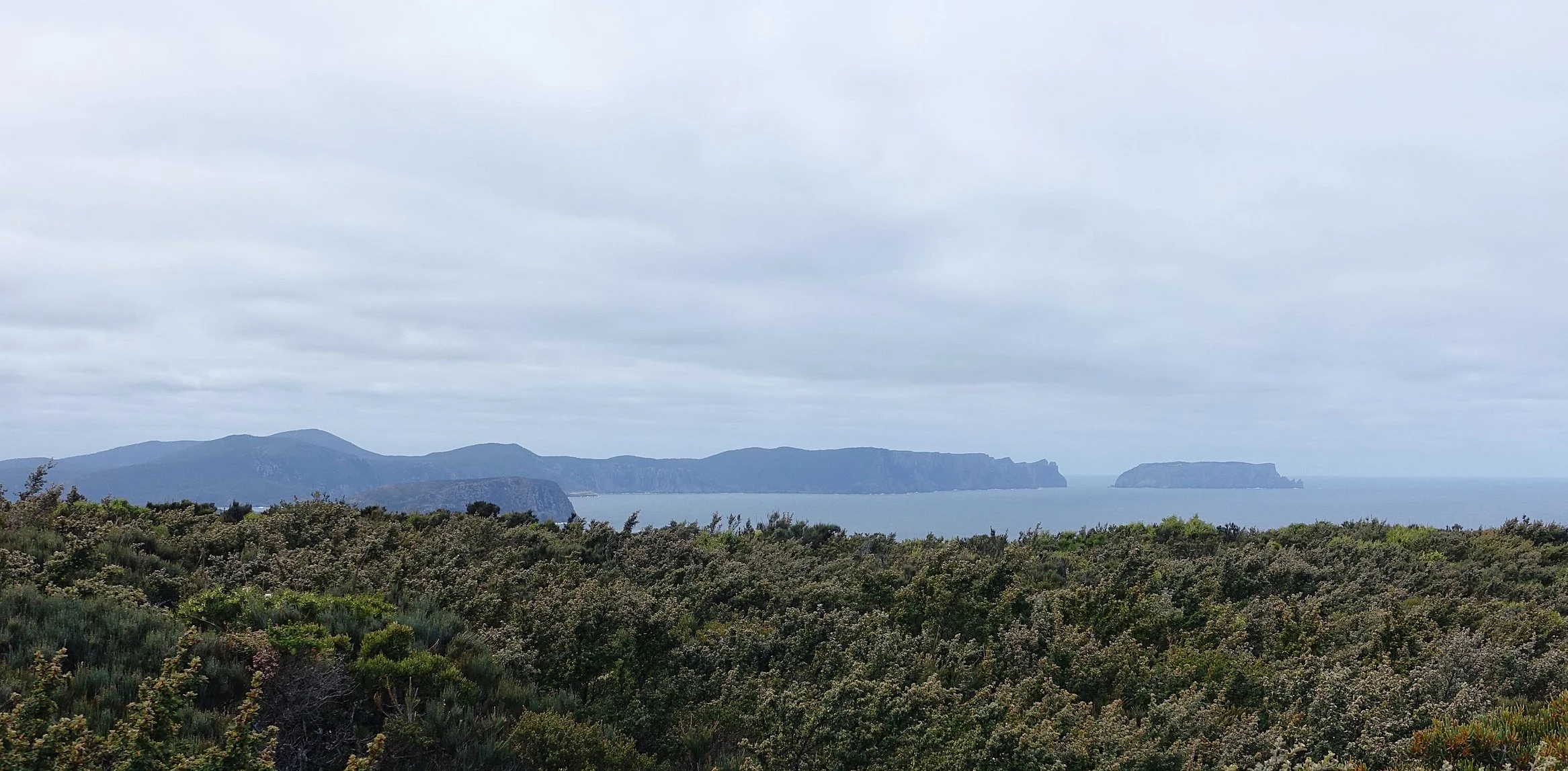 DSC09221_compressed.jpg