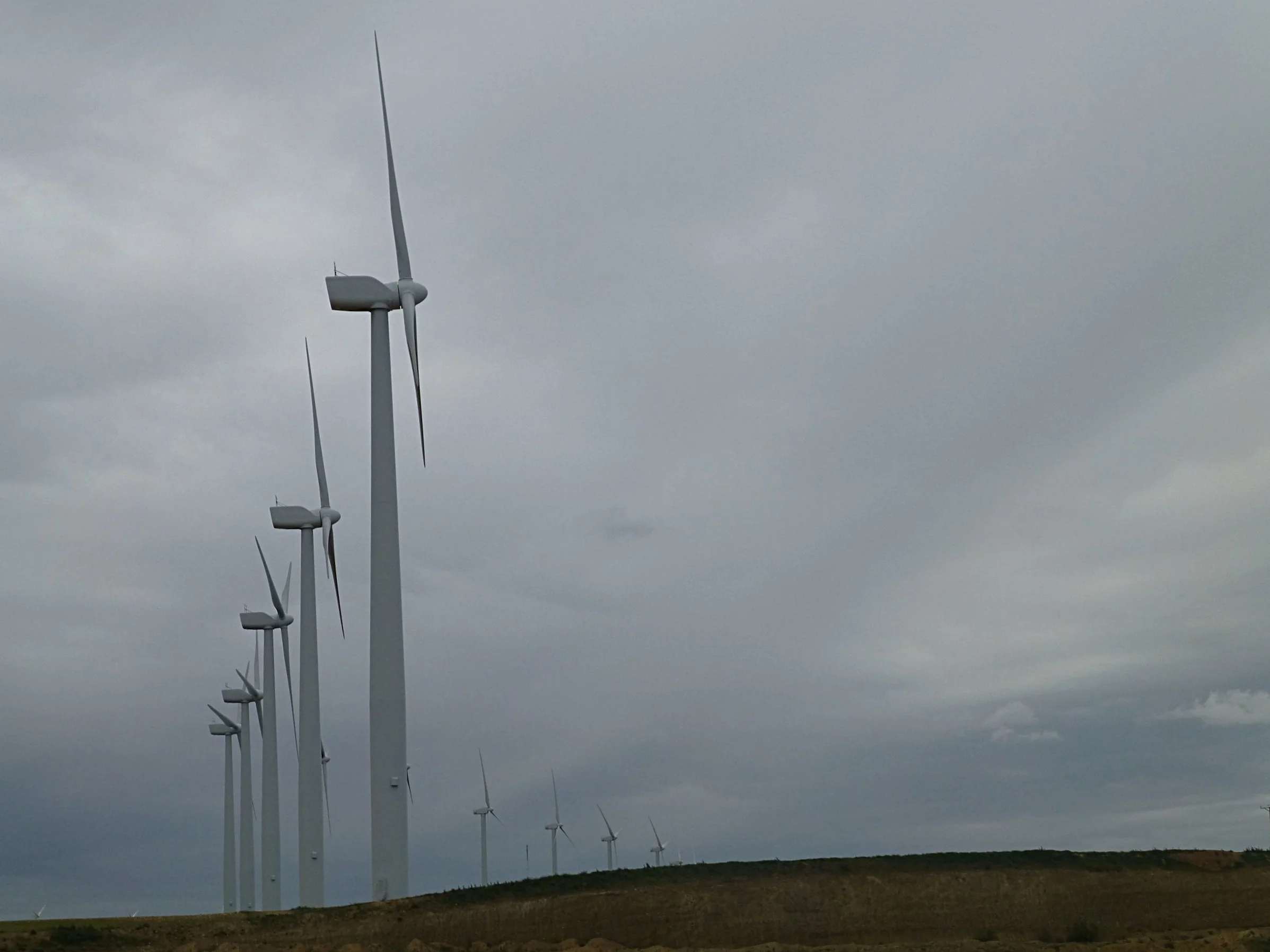 wind farms are ubiquitous
