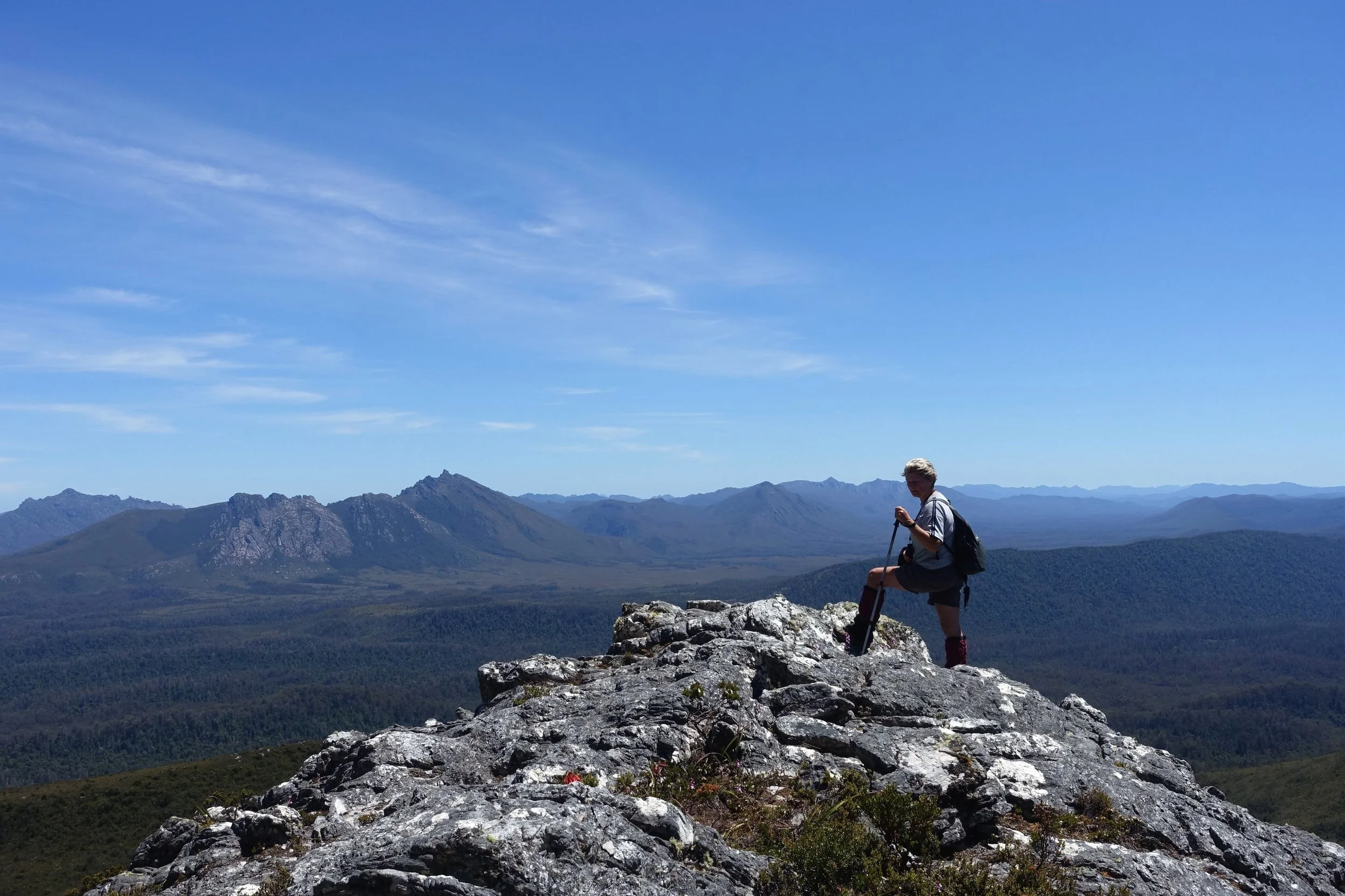 The Needles - One of Tasmania's Most Spectacular Short Wilderness Walks