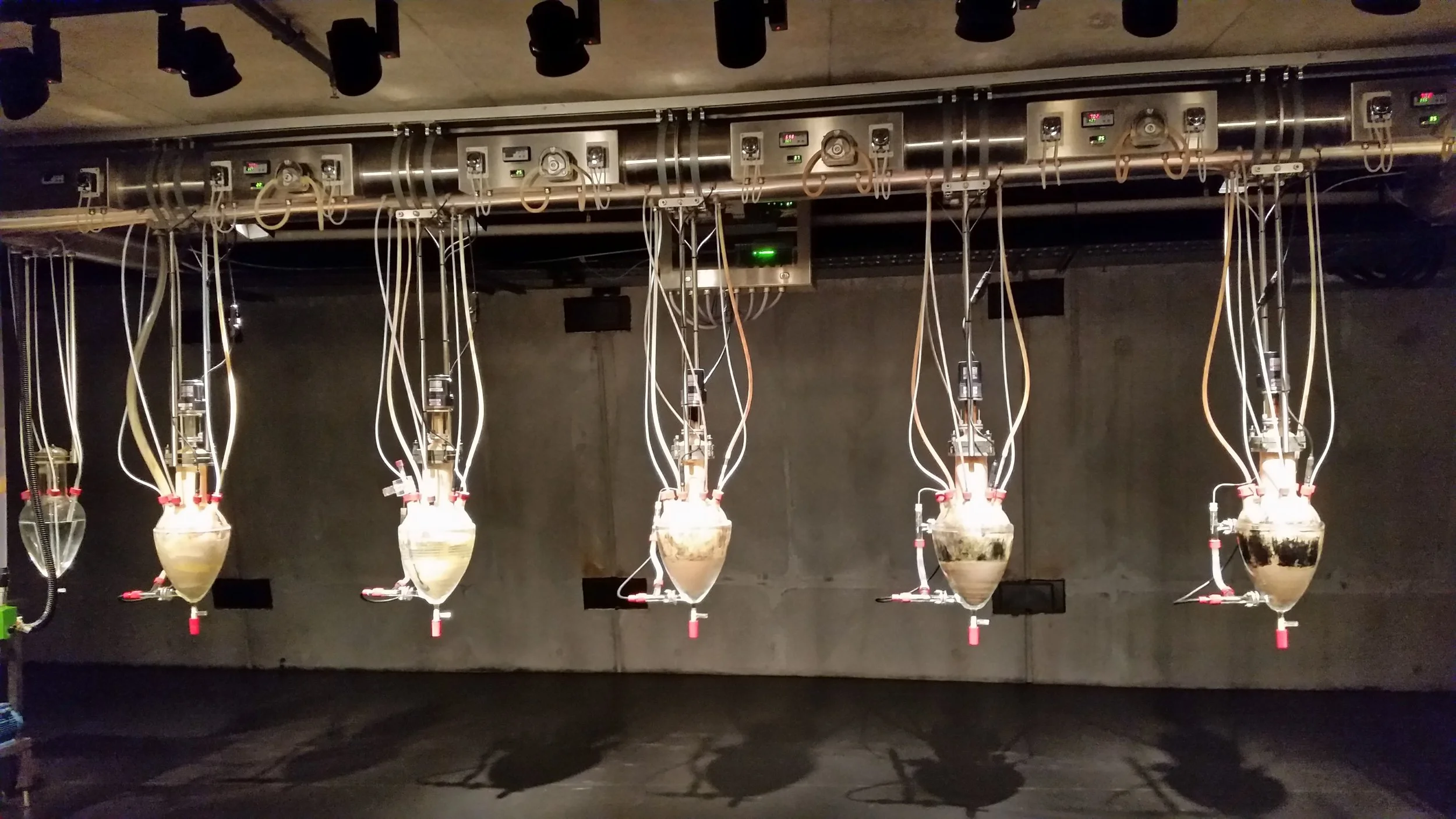 mona‘s famous (infamous) cloaca exhibit (google it and you’ll see what we mean)