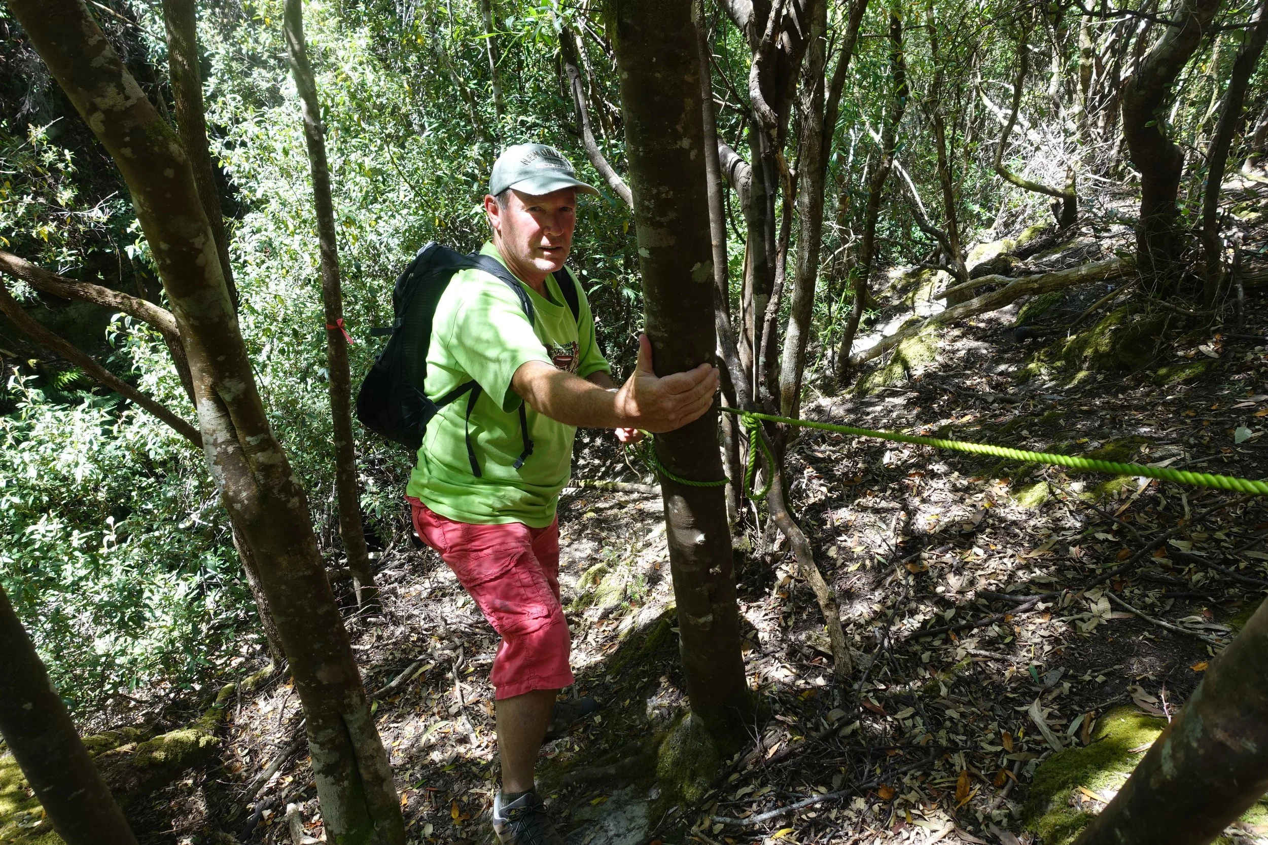 DSC09575_compressed.jpg