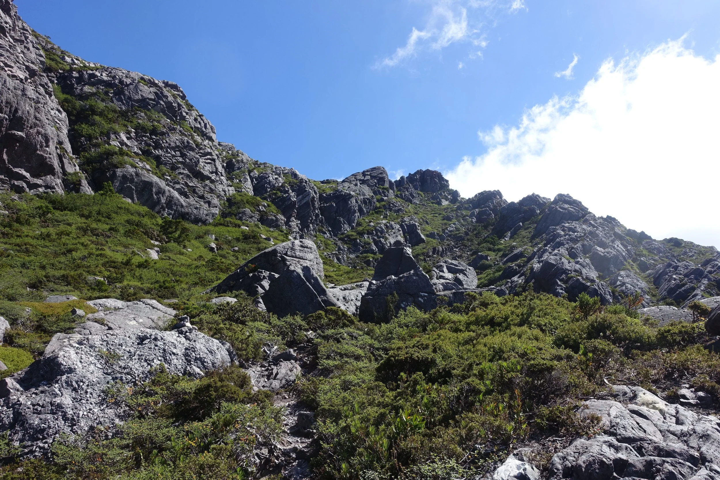 DSC09770_compressed.jpg
