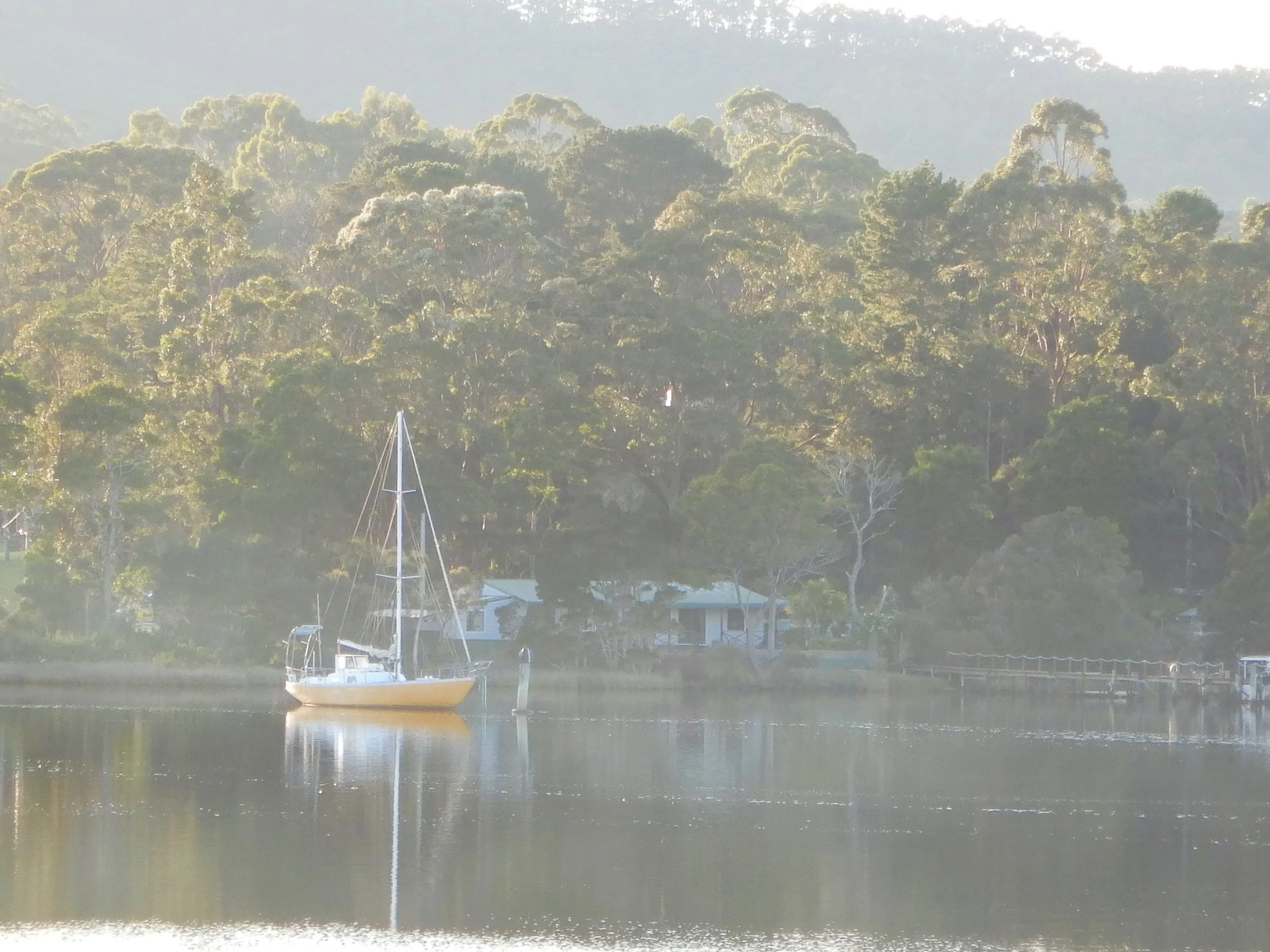 yacht moored off strahan