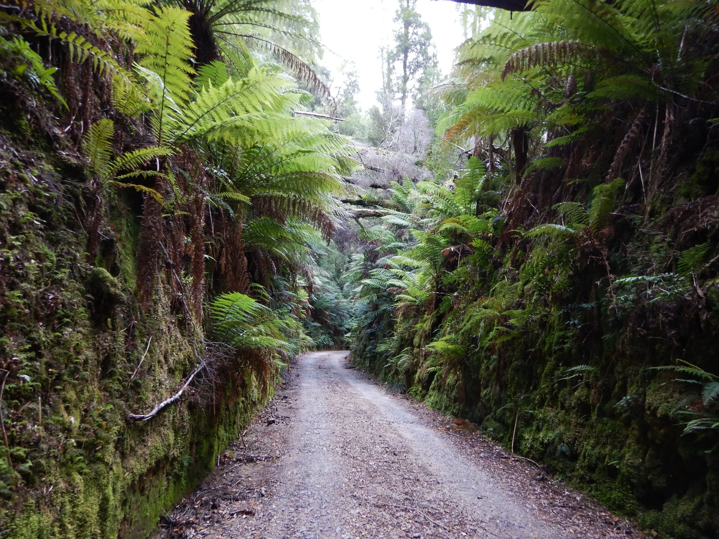 the last section of road into the start of the walk