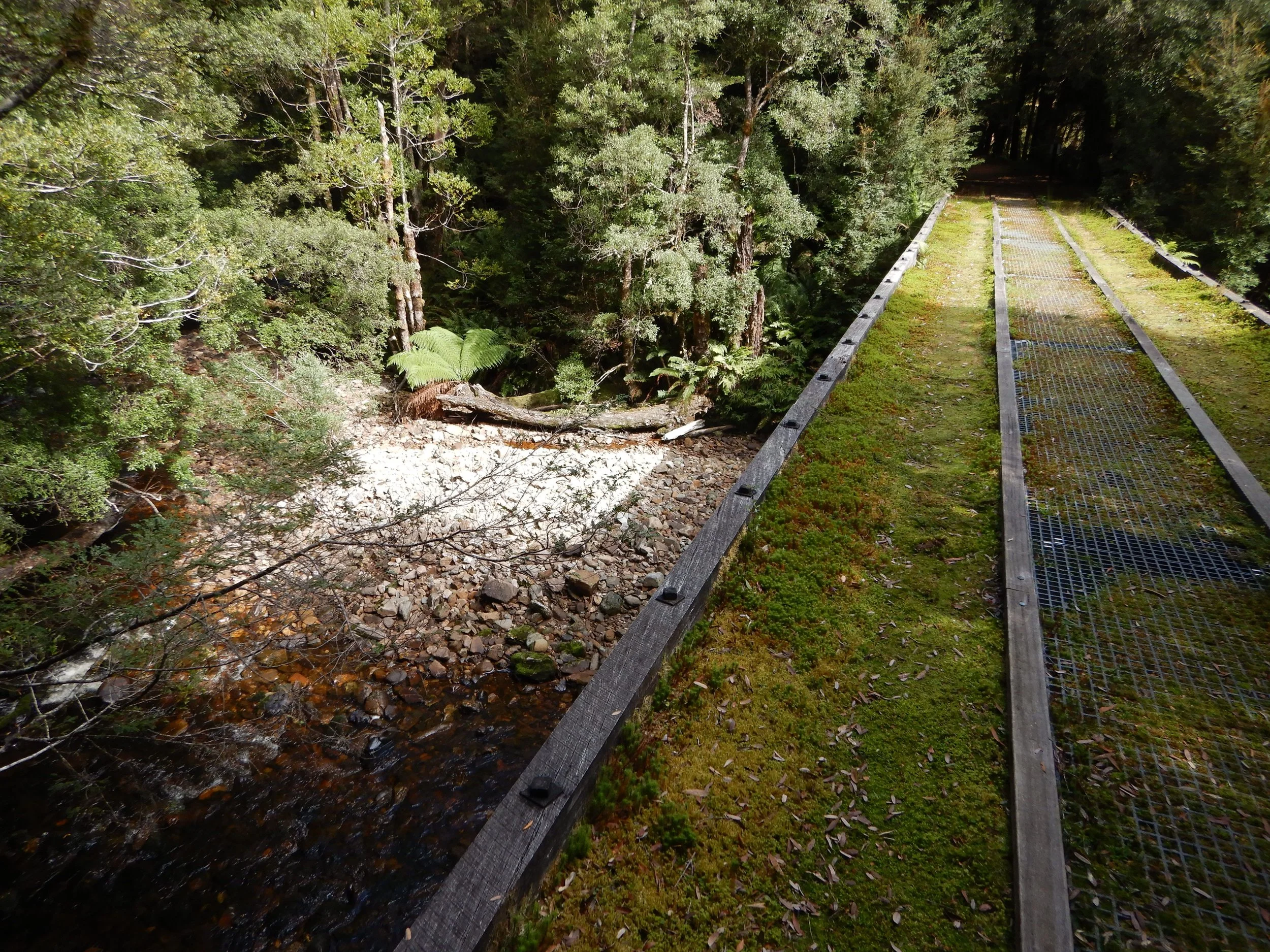 bridge over the bird river