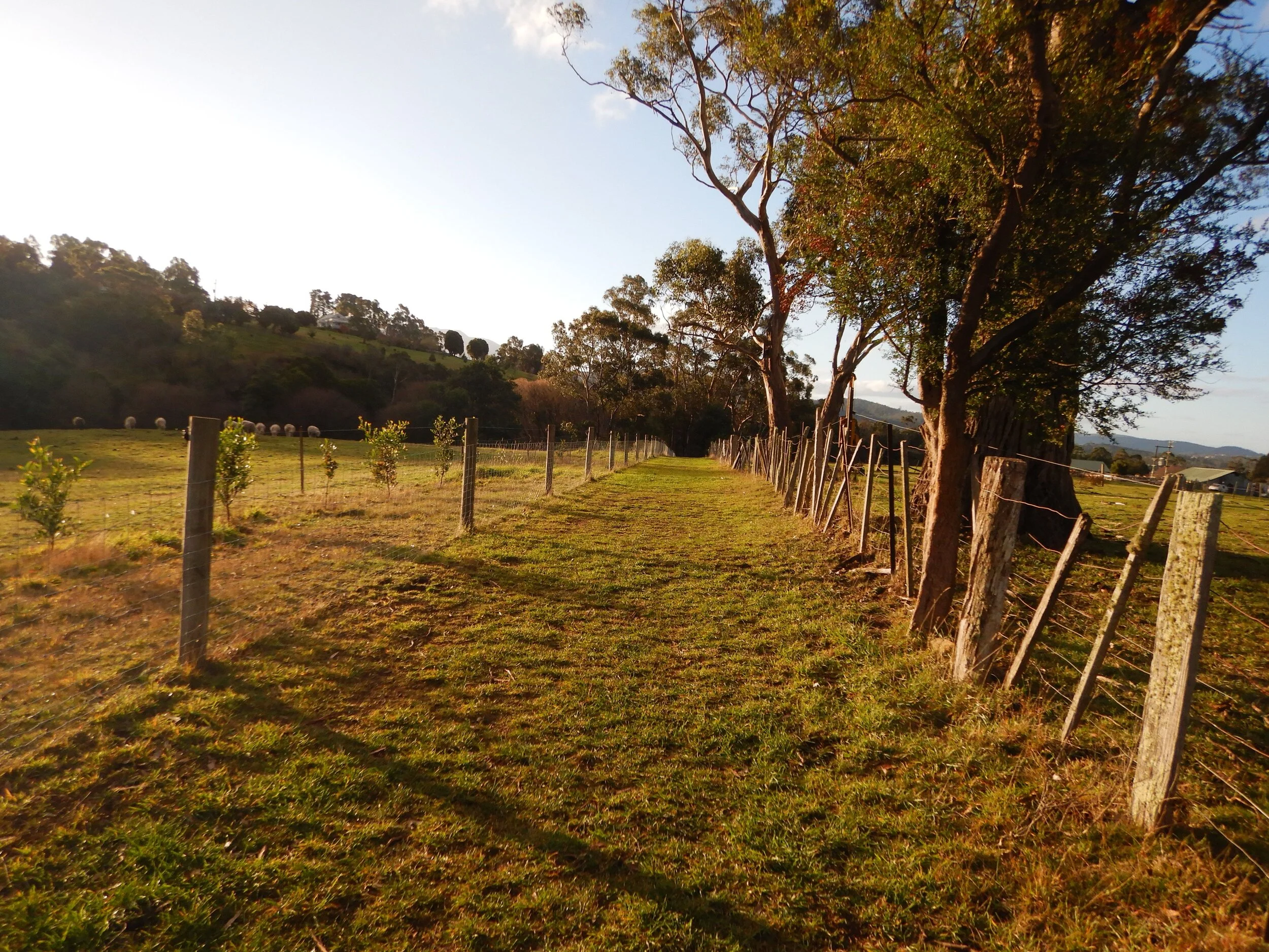 Nierinna Creek and Margate Creek Tracks, Southern Tasmania