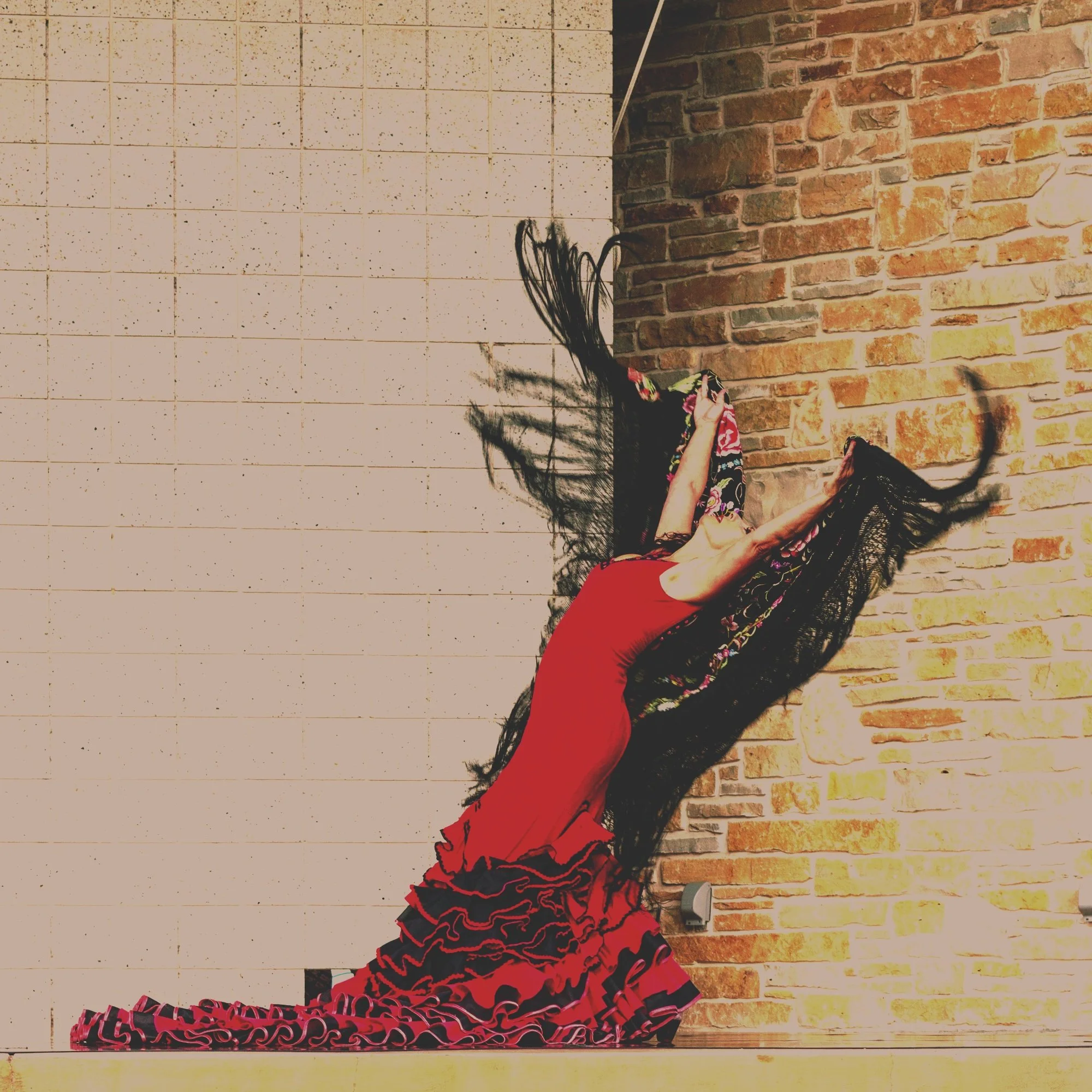 Viva! at Washington Park