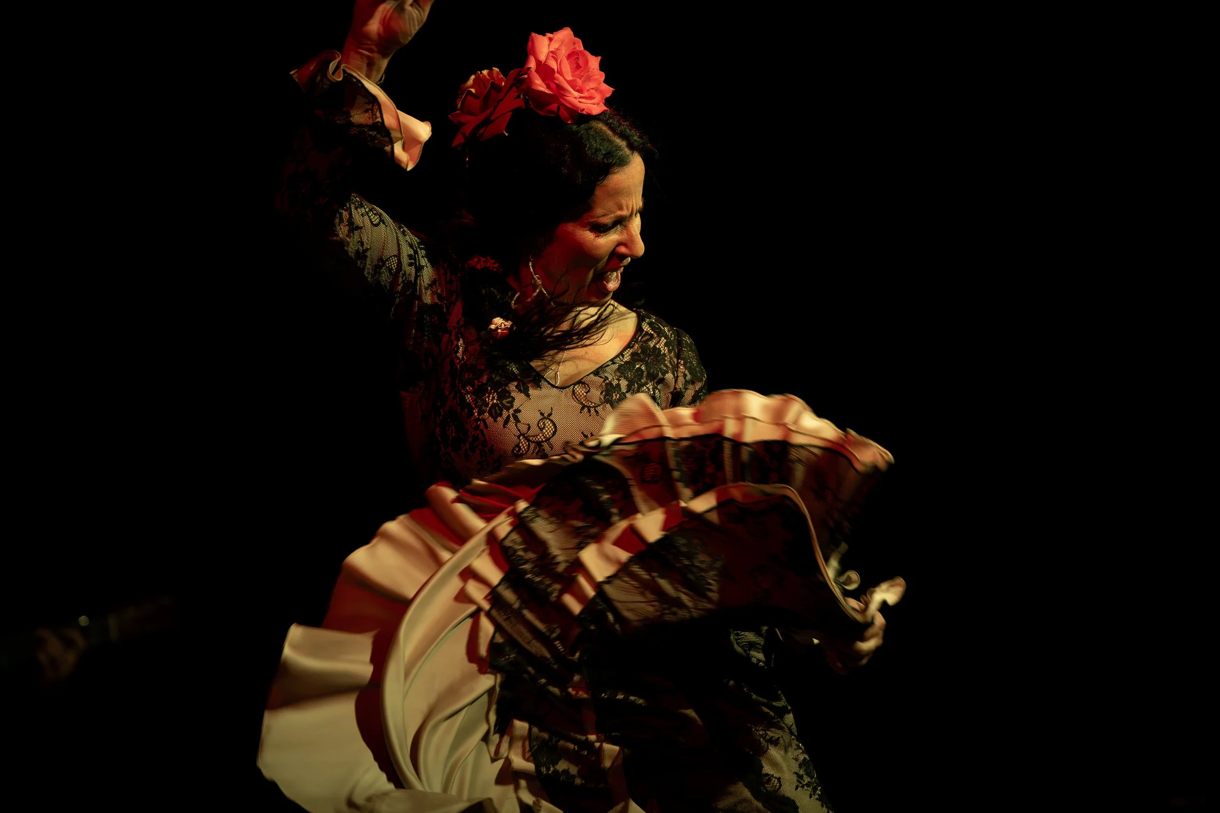 Wisconsin Dance Council Diamond Jubilee