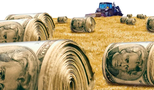 Mega-Farms, Government Agencies and the Rich Get Bulk of Federal Farm Aid, AP Survey Shows
