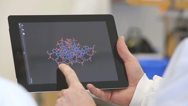 Teaching the Genome Generation