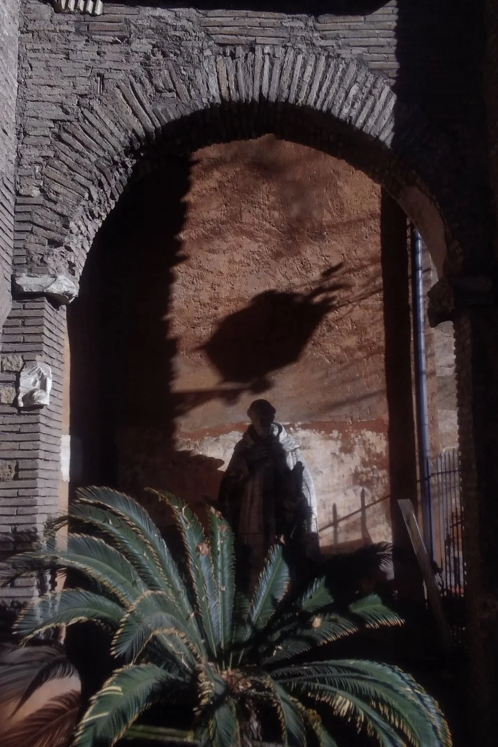 holy shadow_036.jpg