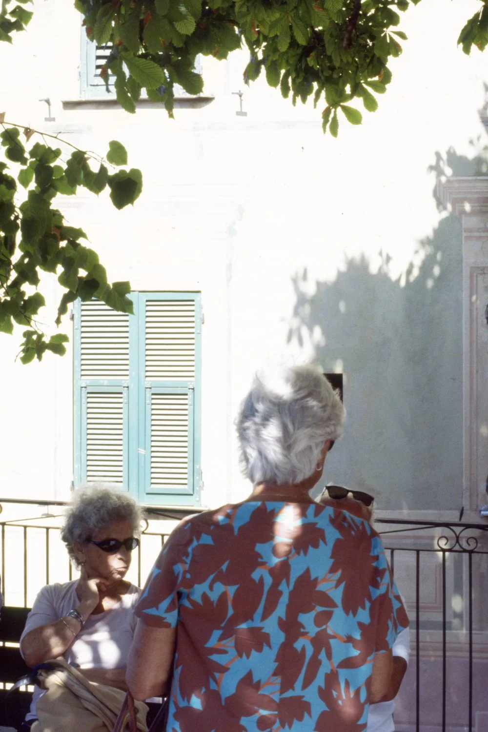 in the jungle_25_4.jpg