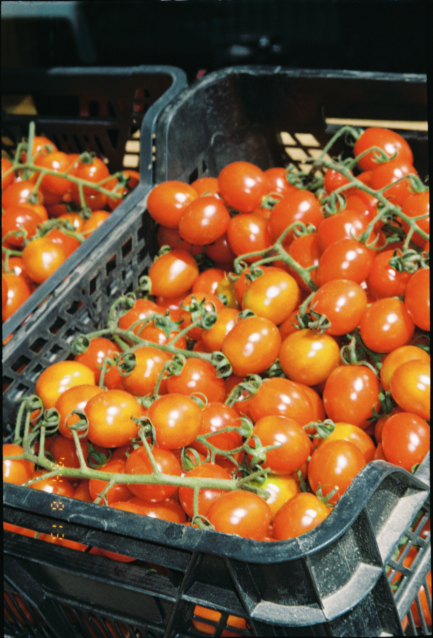 Skärmavbild 2025-11-11 kl. 13.17.35.png