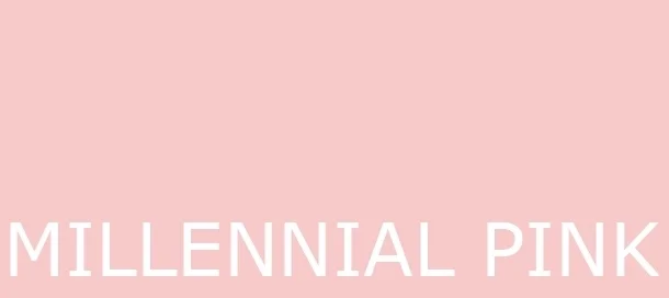 MILLENNIAL PINK 