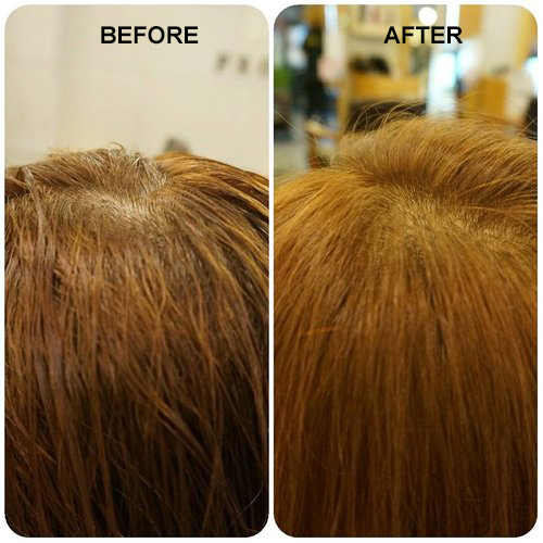 Bounce Roots Volume