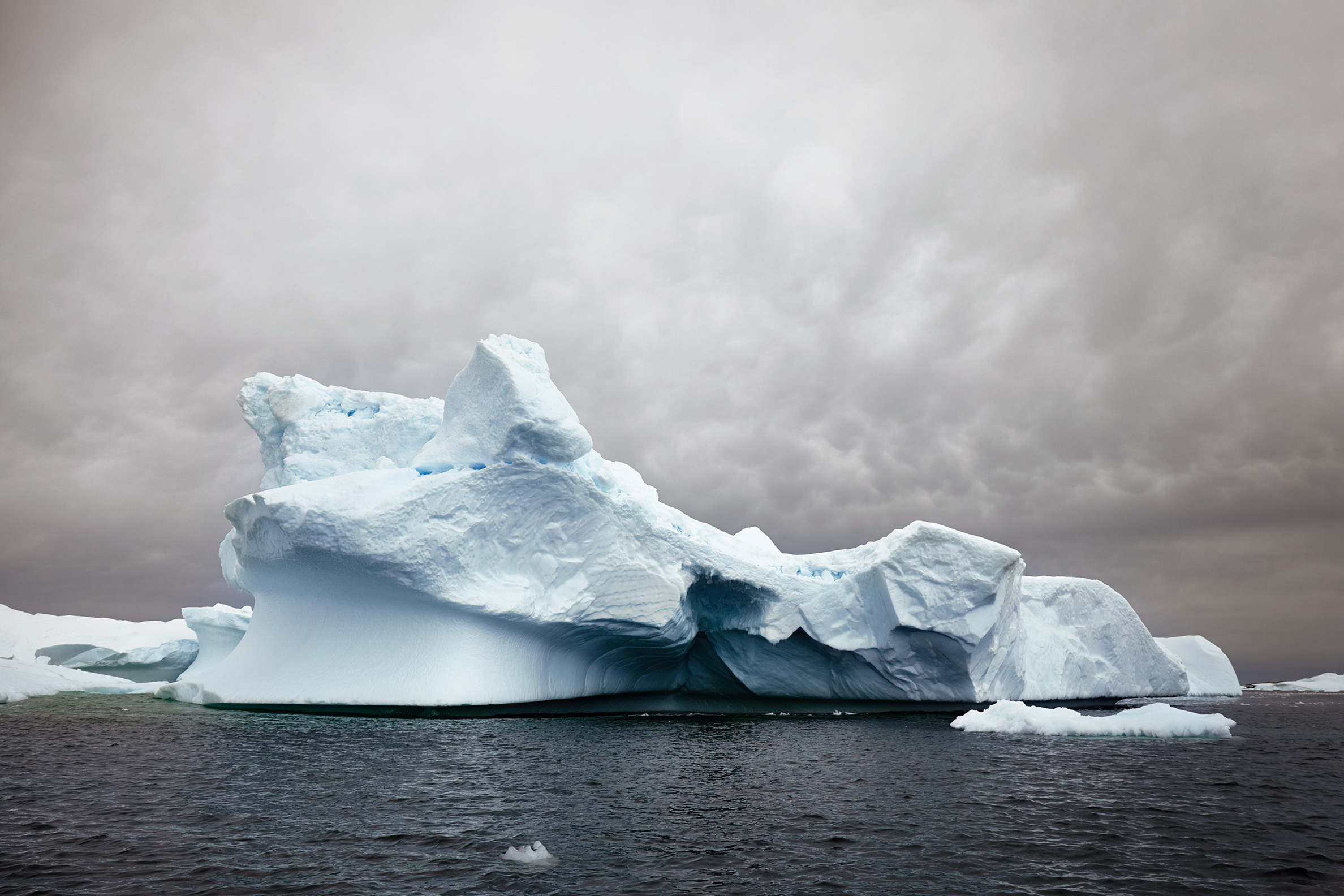 JPG (8-bit)-15_0202-Antarctica 2-IMG_8518.jpg