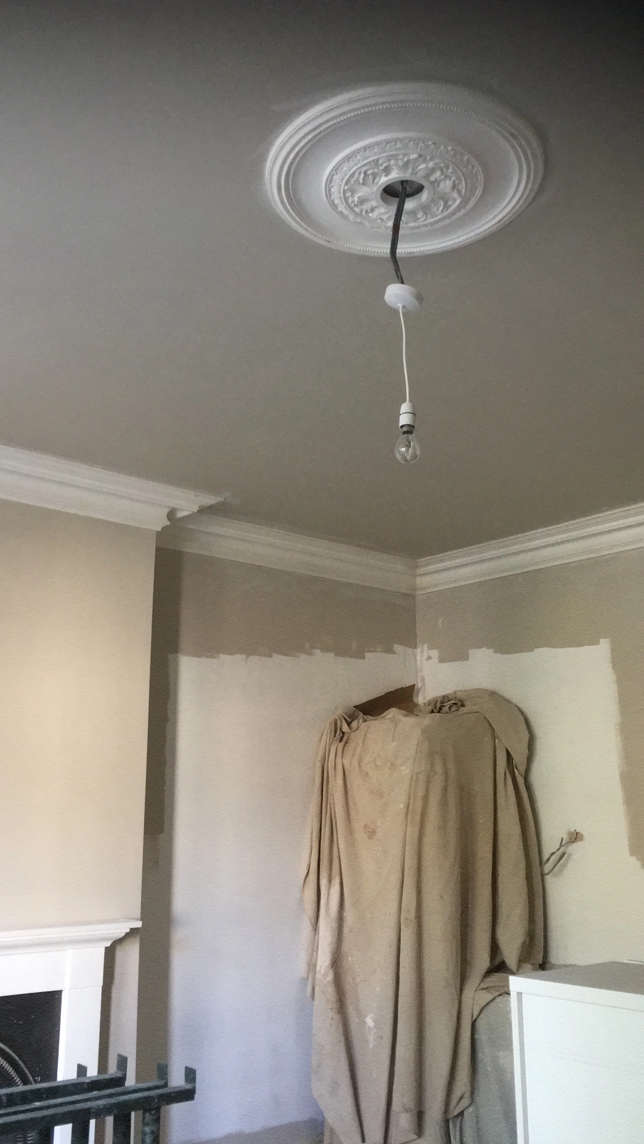 Cornicing and rose fitted by Manor Ceilings