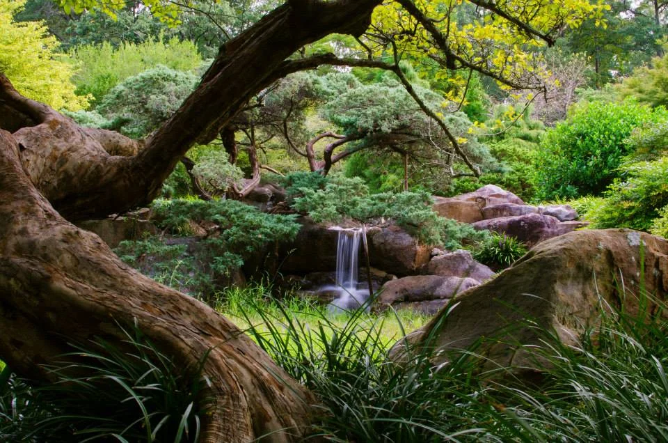 Bham Botanical Gardens 2.jpg