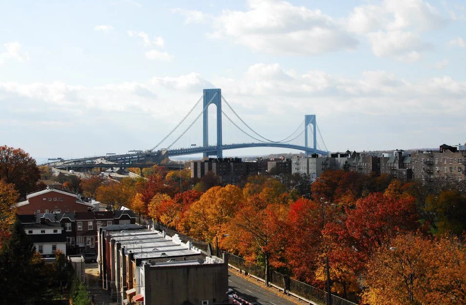 NYC fall window view.jpg