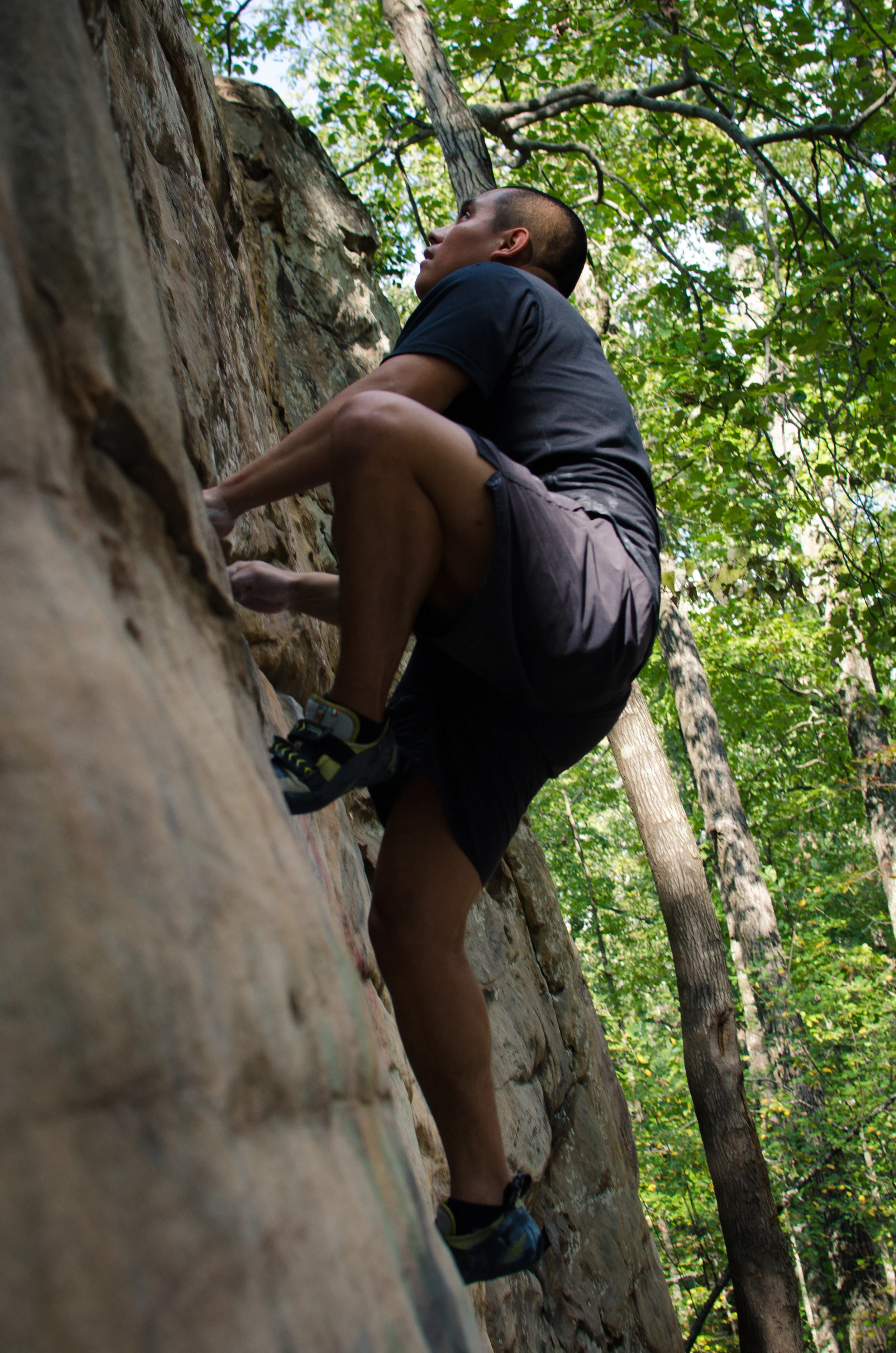 Moss Rock-31.jpg