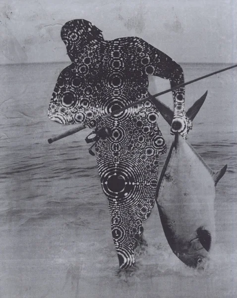 5_trevallyweb.jpg