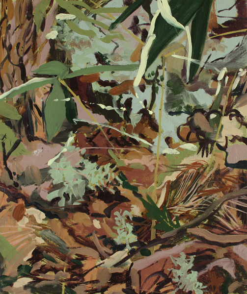 3_forest-floor-1web.jpg