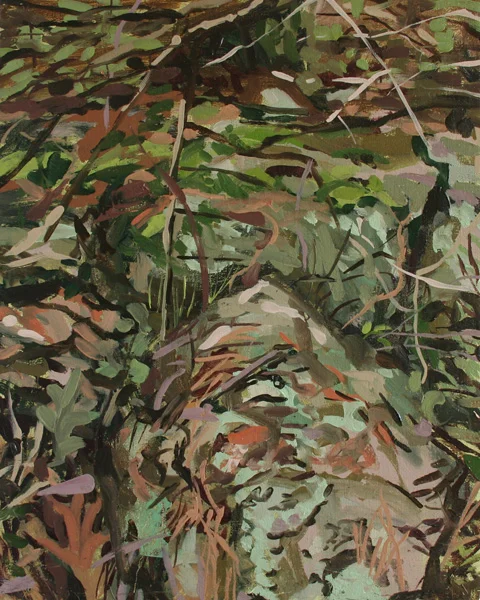 3_forest-floor-2web.jpg