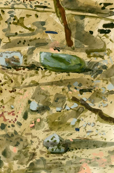 3_forest-floor-14web.jpg