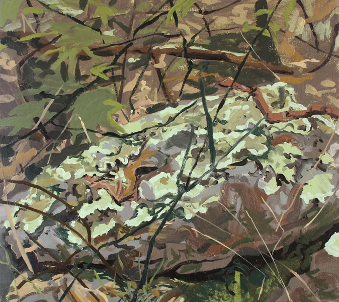 3_forest-floor-3web.jpg