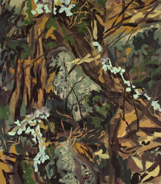 3_forest-floor-9web.jpg