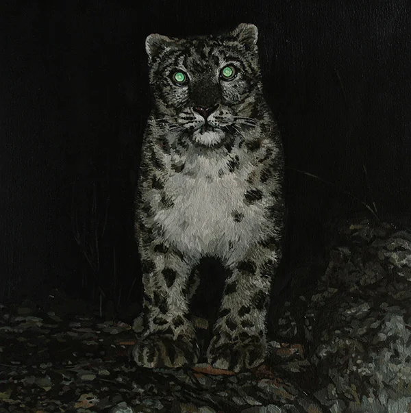 9_snow-leopard-3web.jpg