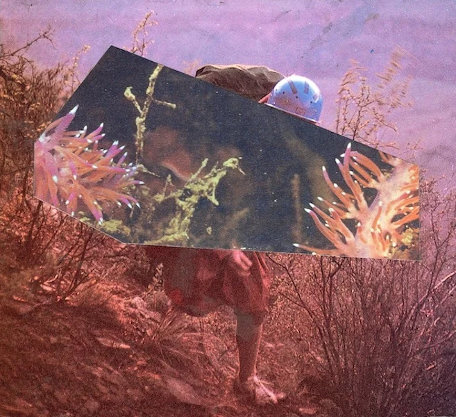 13_survive-1web.jpg