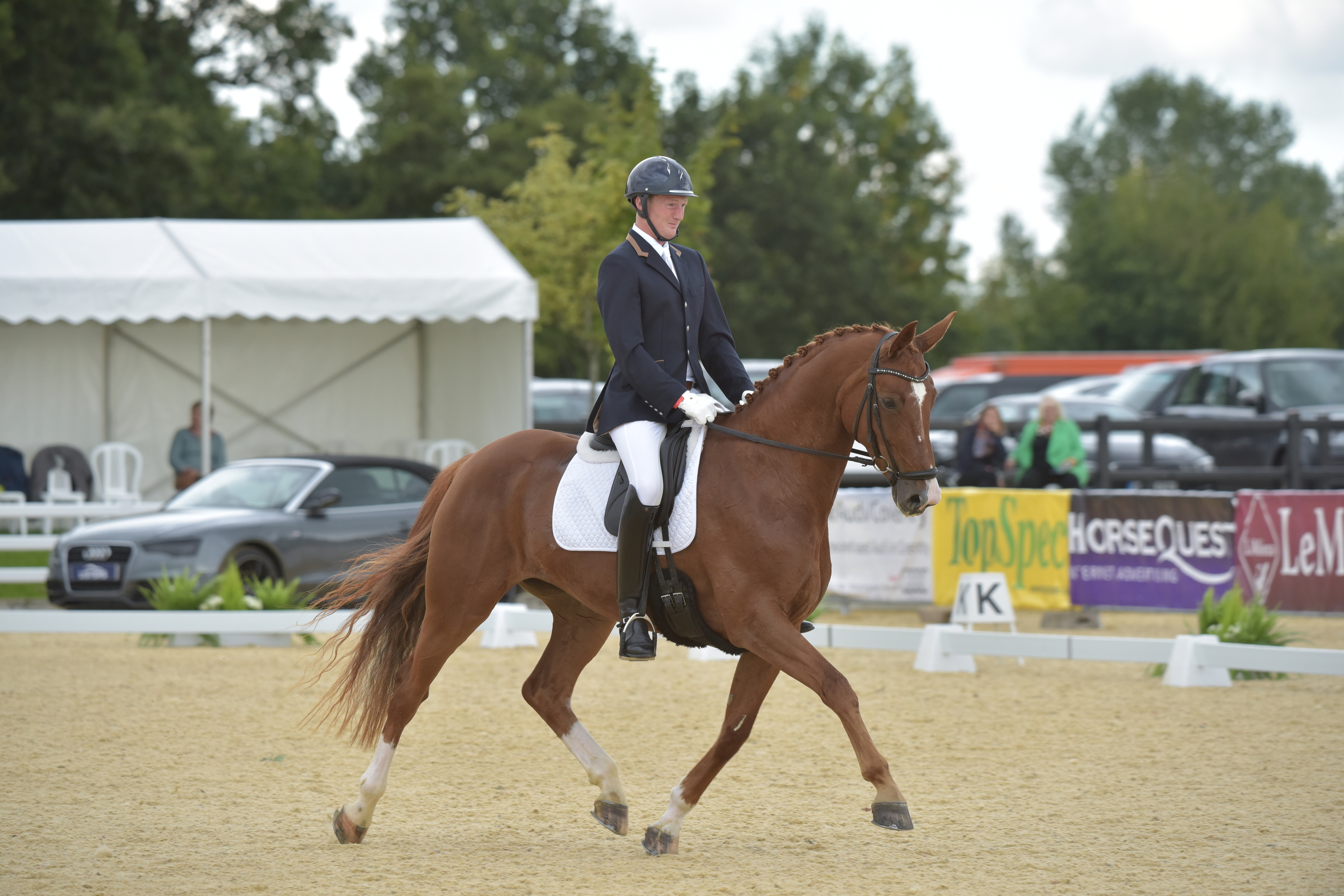 Newton Domino Stable Name : Dotty Colour : Chestnut Height : 16.3 Sex : Mare Breeding : De Niro Country of Origin : GB Year Foaled : 2009 Owner : Mrs L Wilson Level : Advanced