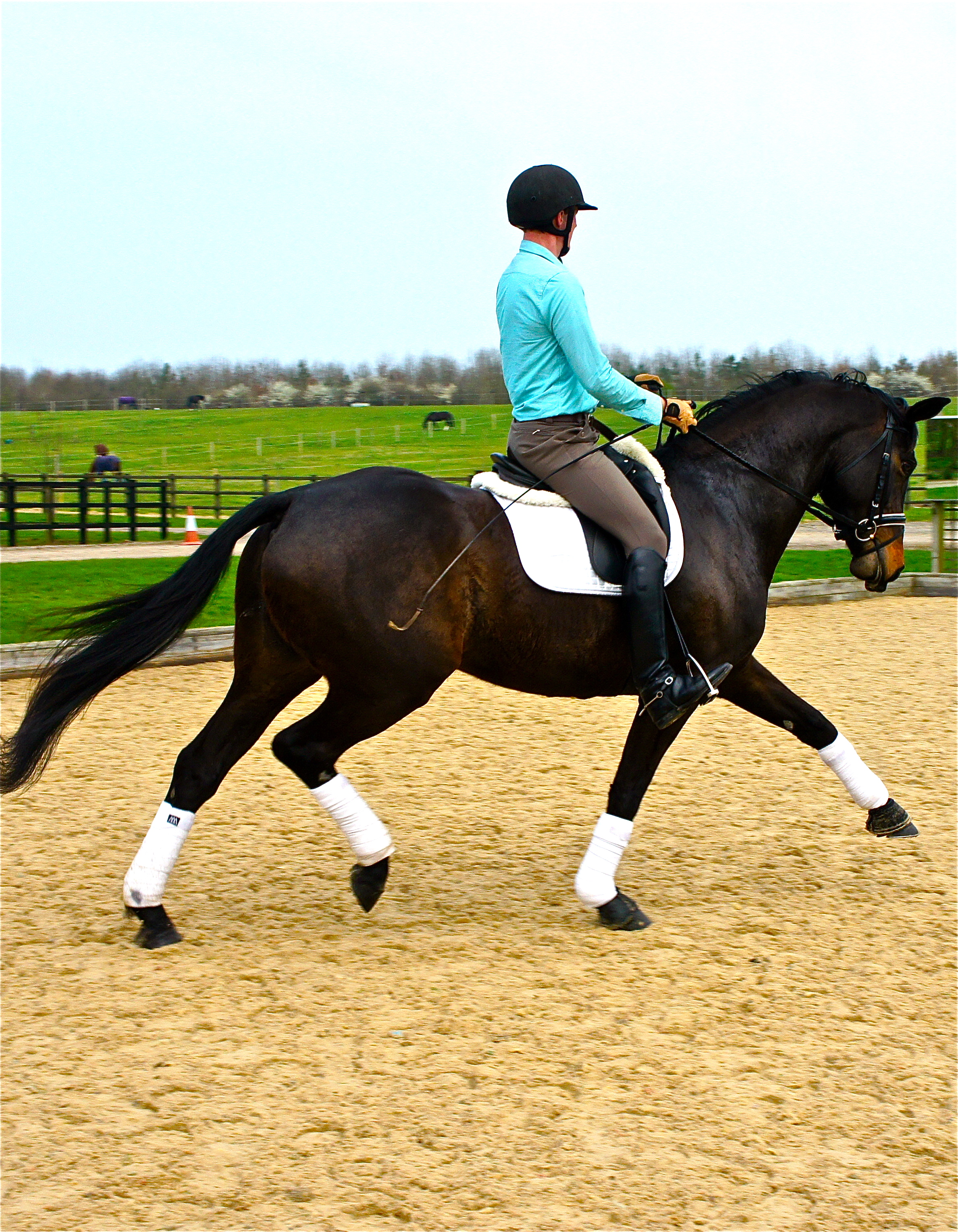 Cocoa Blush Stable Name : Cocoa Colour : Dark Bay Height : 16.3 Sex : Mare Sire : Negretto Country of Origin :GB Year Foaled : 2006 level : Medium