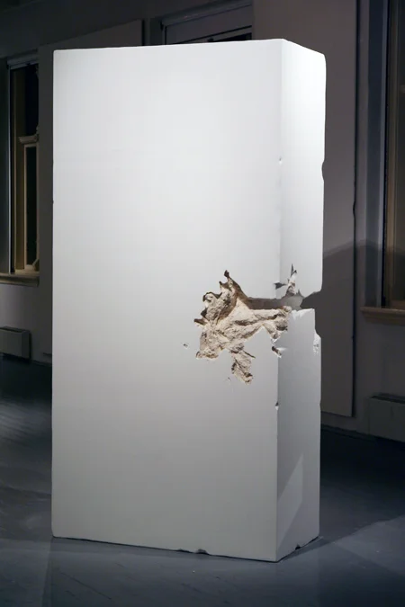 Tromso6 Rat king 1.JPG