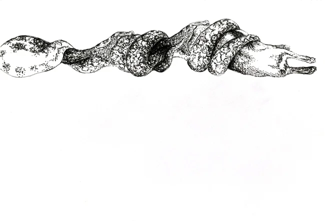 Inertia 2 antiboaboa.jpg